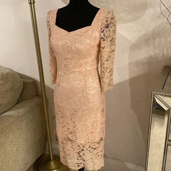 𝅺ARROGANT cat lace dress size S NWT - Picture 3 of 8